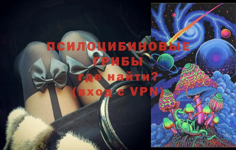 Псилоцибиновые грибы Cubensis  Бавлы 